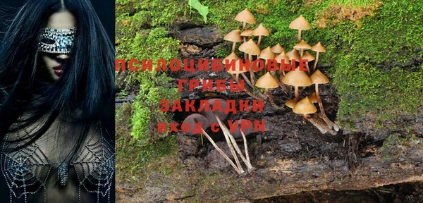 кокс Бородино
