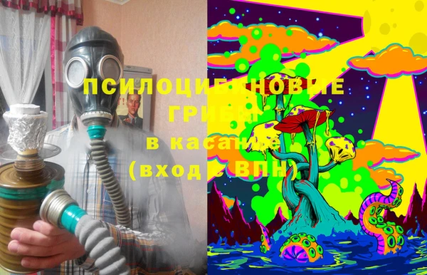 кокс Бородино